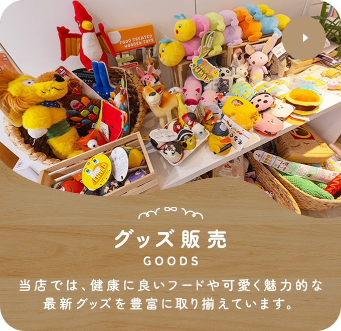 グッズ販売 当サロンでは、健康に良いフードや可愛く魅力的な最新グッズを 豊富に取り揃えています。