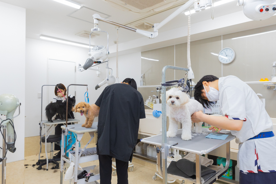 オリジナルで特注したシャンプーとコンディショナーを採用